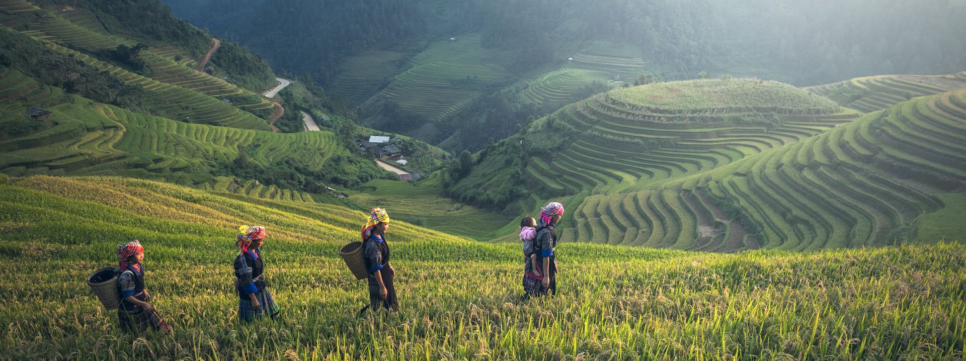 People on Rice Terraces