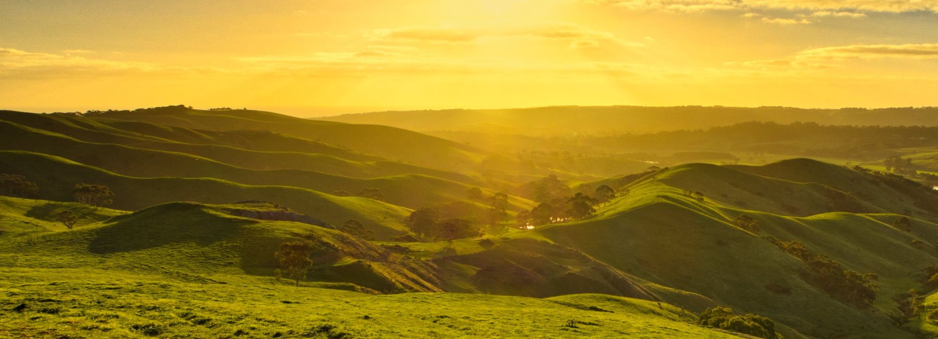 Landscape Photography of Green Mountains